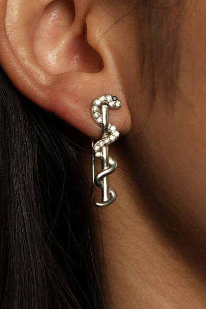 The Snake Earrings