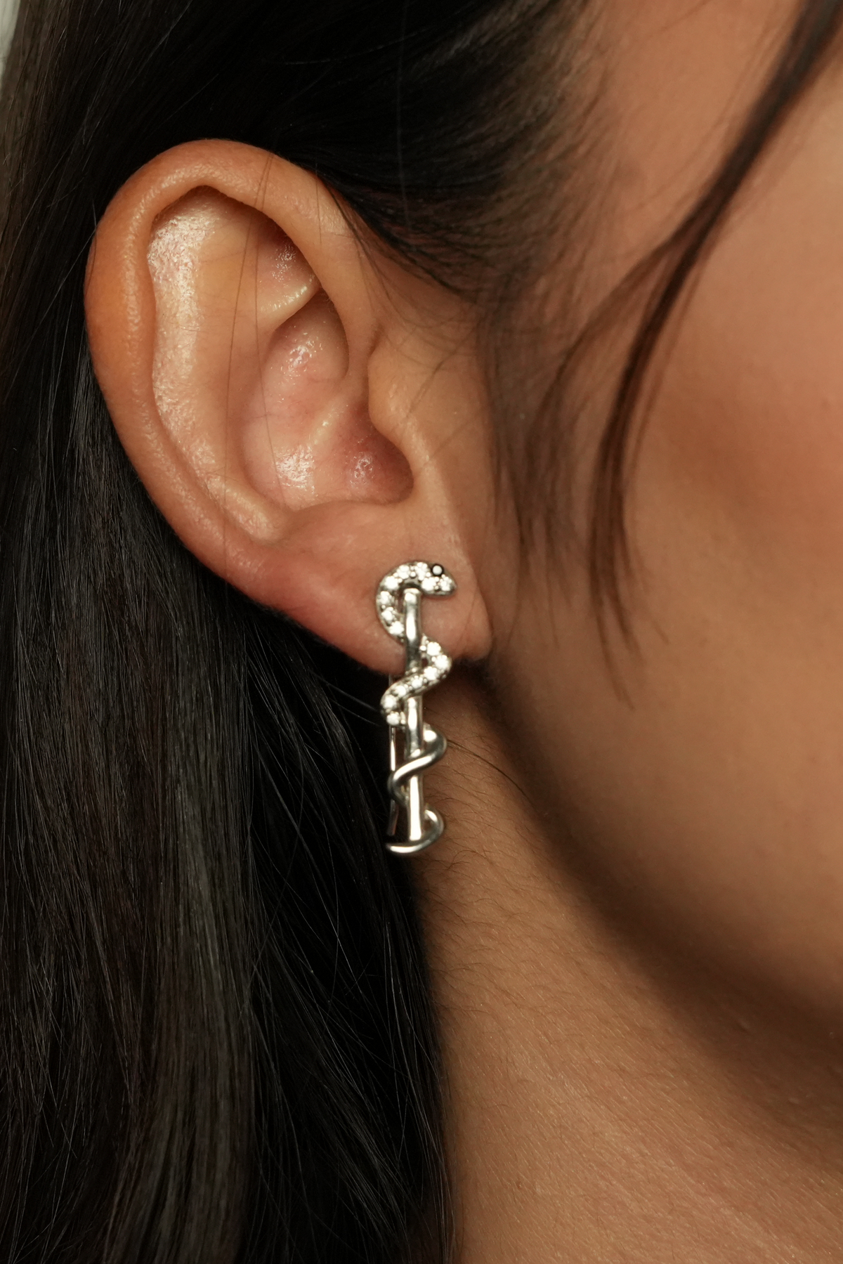 The Snake Earrings